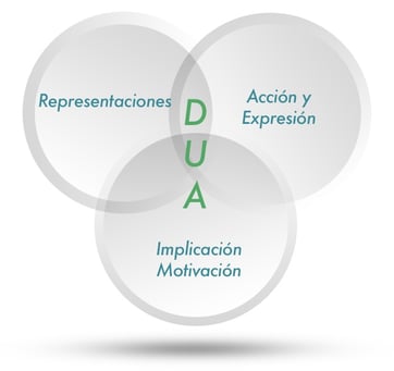 implementar el DUA